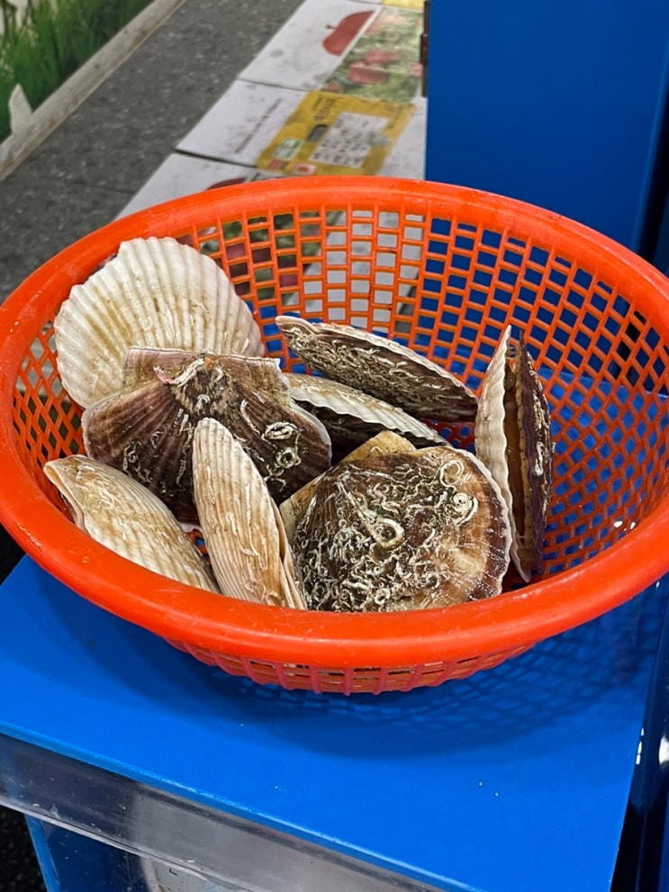  강화도 수산시장 분오어판장 회포장, 조개포장!