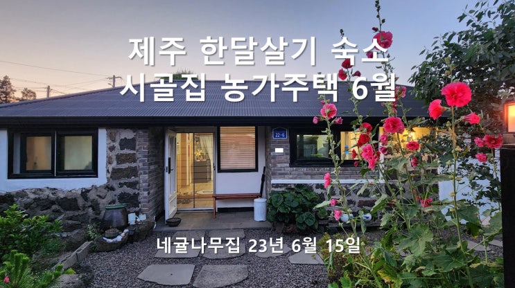 제주 한달살기 숙소 추천 - 6월 여름, 조천읍 함덕근처