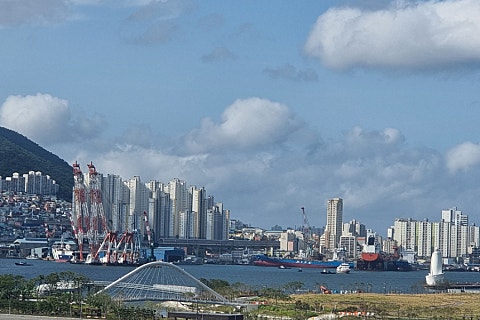 새벽전람 이미지