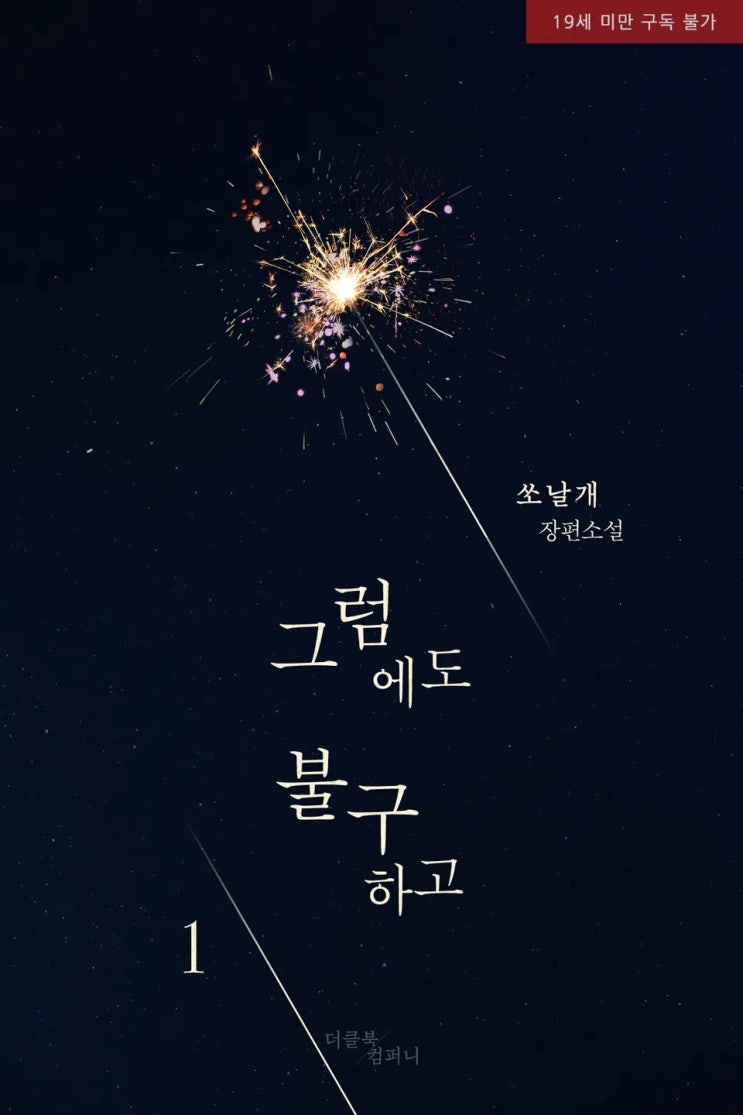BL소설 리뷰) 쏘날개-그럼에도 불구하고 BL소설 리뷰) 쏘날개-그럼에도 불구하고