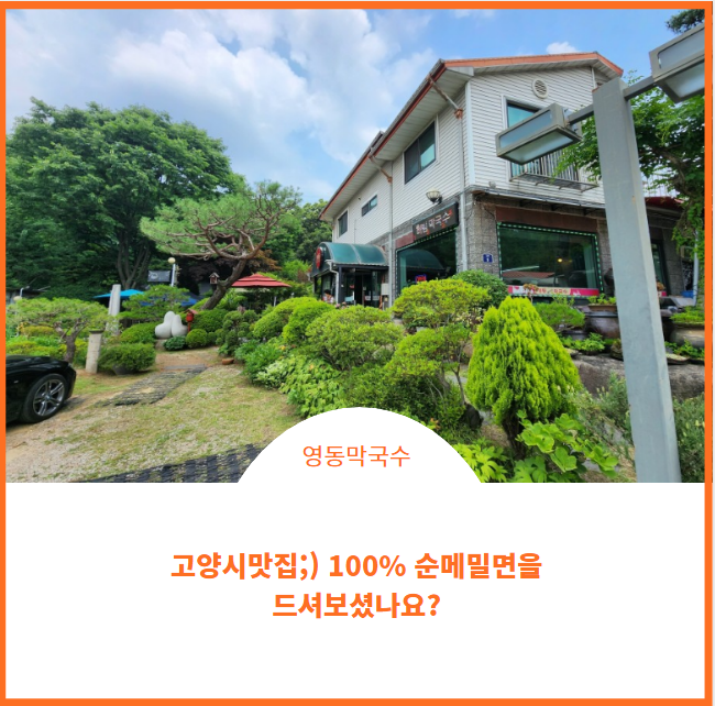  고양시 맛집;) 영동 동치미 막국수는 100%순메밀입니다