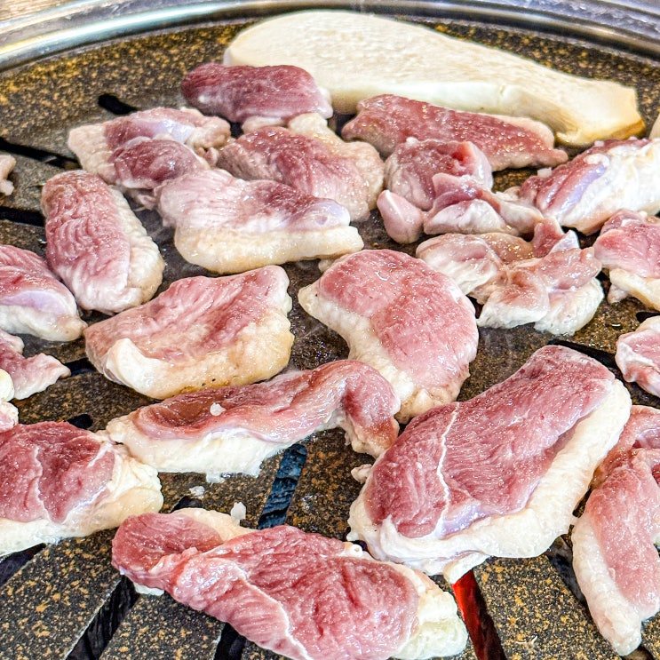 광주 비아동 맛집 '그린하우스' 가성비 오리로스 맛집