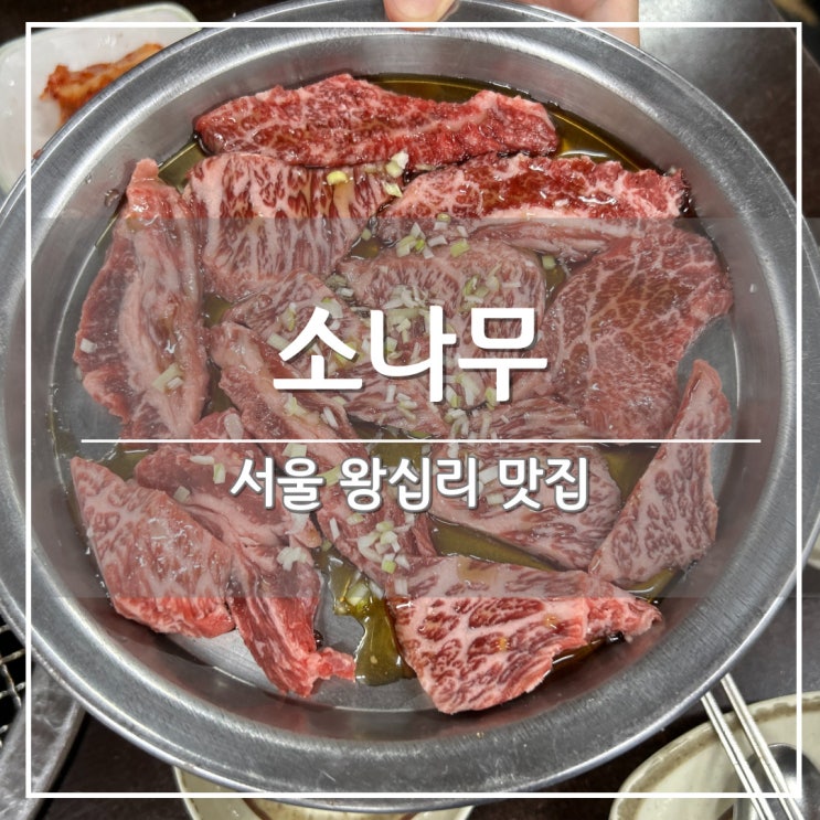  왕십리역 고기 맛집, 한우 소갈빗살 '소나무' (ft. 데이트 추천)