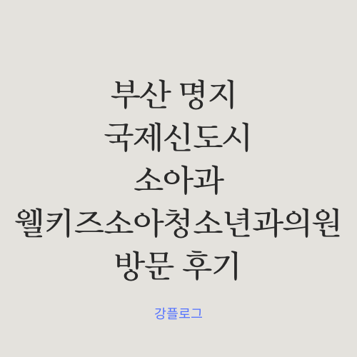  부산 명지 국제신도시 소아과 추천 웰키즈소아청소년과의원 방문 후기