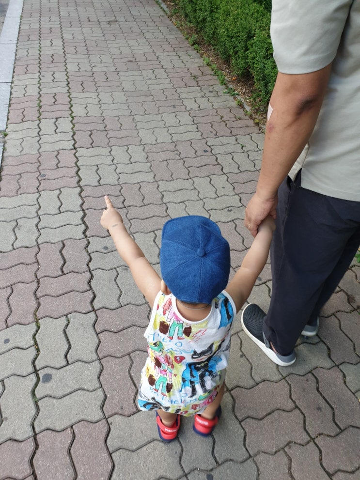 제법 많이 컸네요! 제법 많이 컸네요!