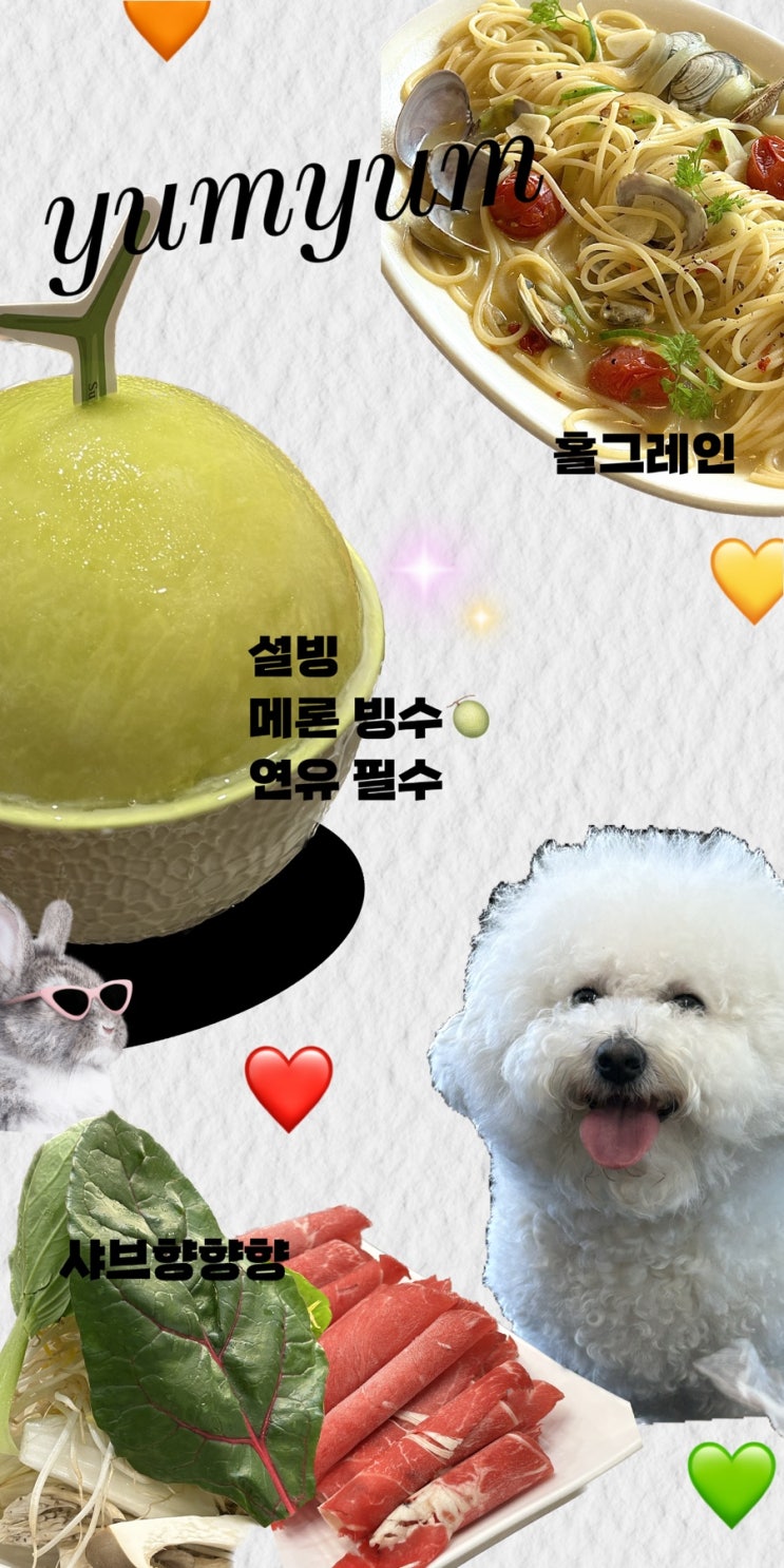  오늘 뭐먹지 얌얌