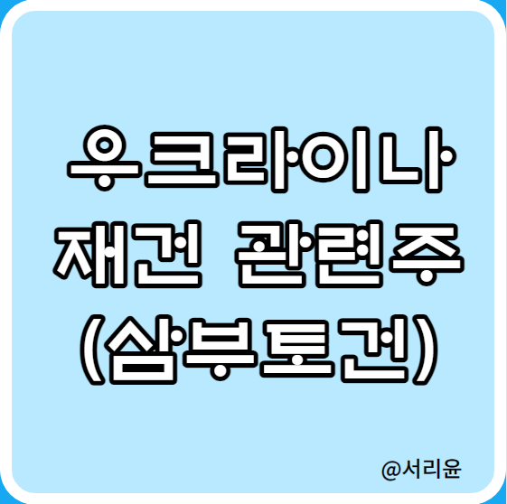  러시아 쿠데타(내전)과 우크라이나 재건 관련주(Ft. 삼부토건 주가전망 및 유상증자)