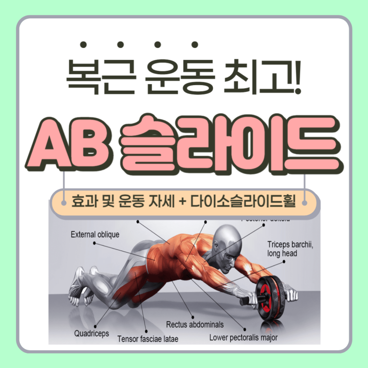  ab 슬라이드 롤아웃 추천, ab 슬라이드 효과 및 운동법 자세, 다이소 슬라이드 휠 - wheel rollout