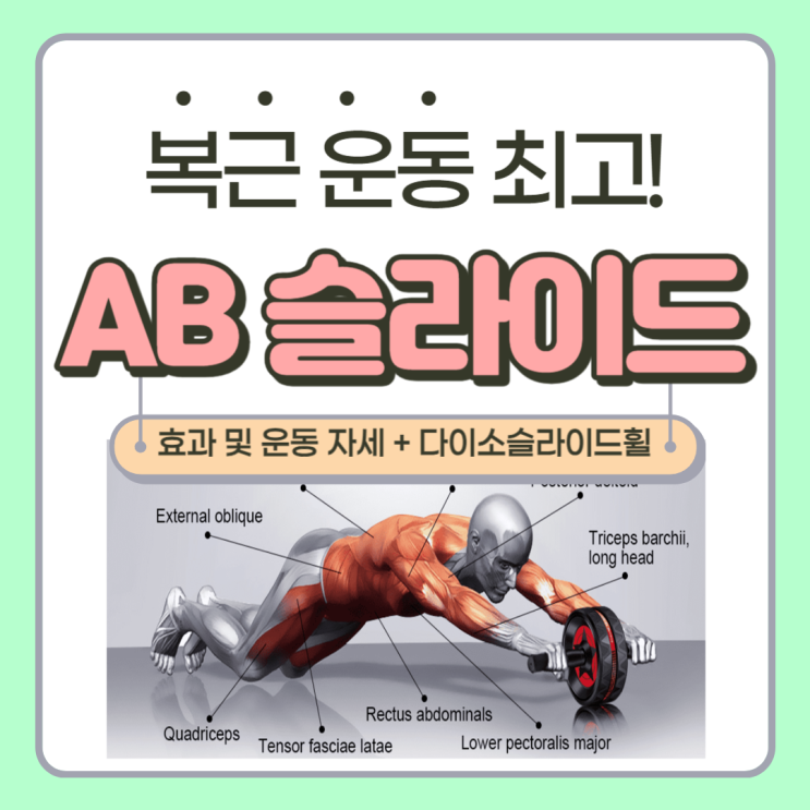 ab 슬라이드 롤아웃 추천, ab 슬라이드 효과 및 운동법 자세, 다이소 슬라이드 휠 - wheel rollout