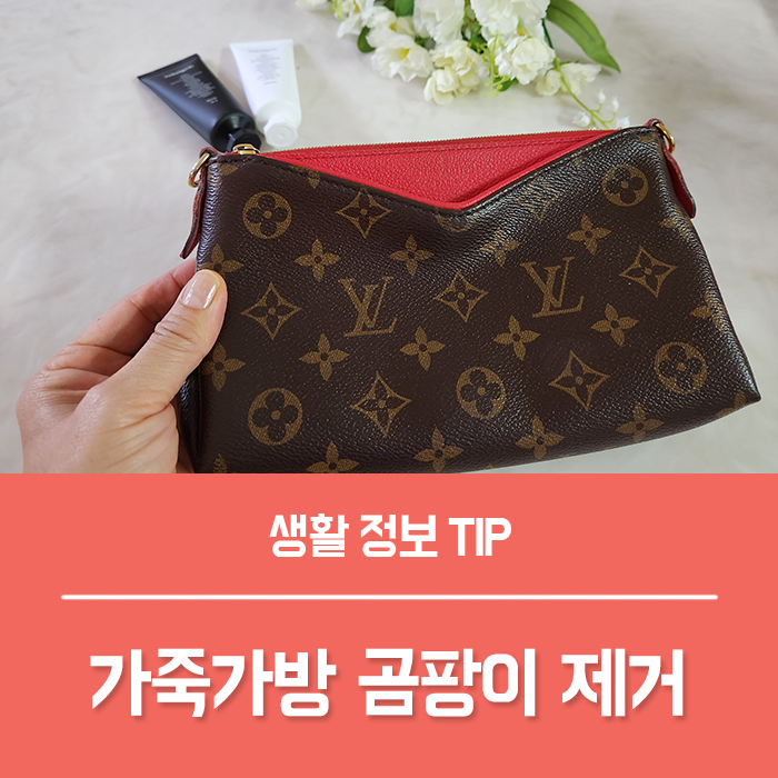 루이비통 가방 가죽곰팡이제거, 리브리겐 명품 가방 가죽 클리너 추천