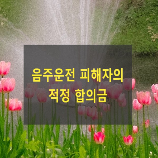  음주운전 피해자의 적정 합의금(도주치상, 특가법)