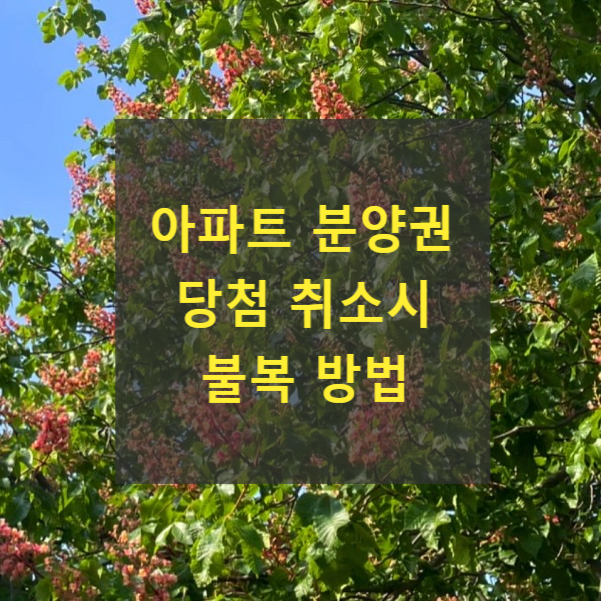  아파트 분양권 당첨 취소시 불복 방법(수분양자지위확인의 소, 처분금지가처분신청)