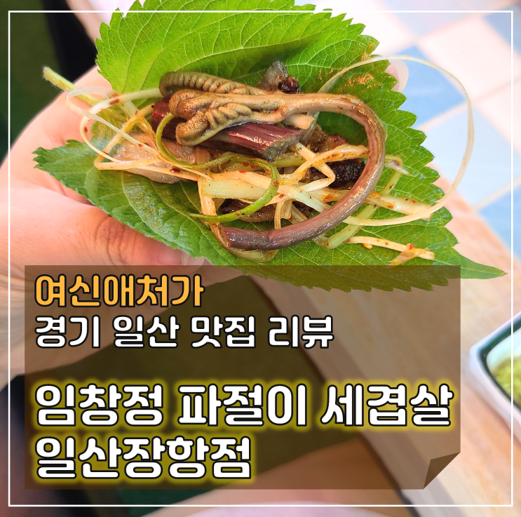  고기가 땡길 때, 일산 동구 맛집, 임창정 파절이 세겹살 일산장항점