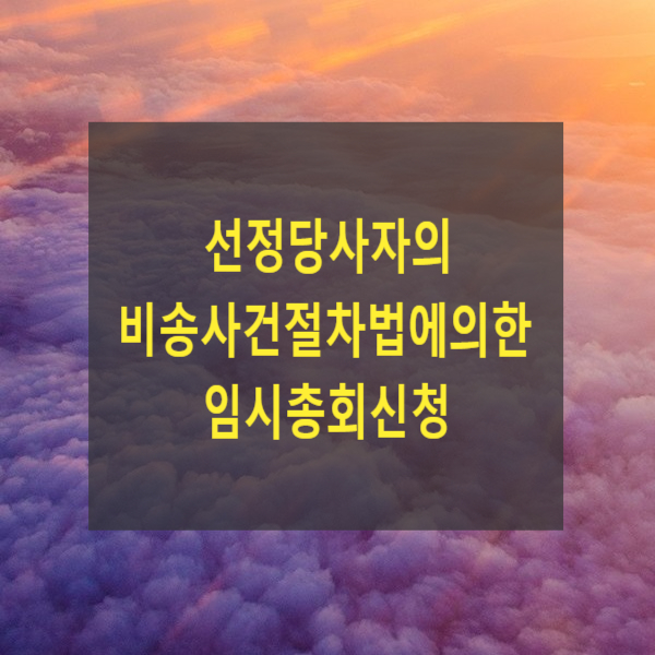  선정당사자의 비송사건절차법에의한 임시총회신청