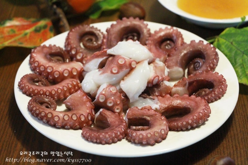 문어꿈해몽 : 문어잡는꿈, 문어나오는꿈 등 "문어꿈" 총정리!