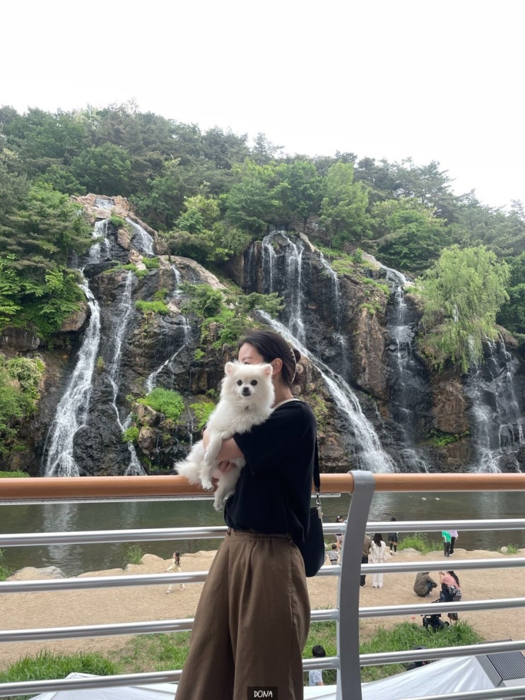  [서대문]폭포카페  : 안산을 배경으로 폭포가 흐르는 홍제천 카페