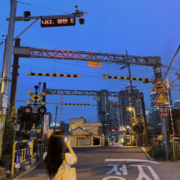  러브버그가 싫은 사람, 저요