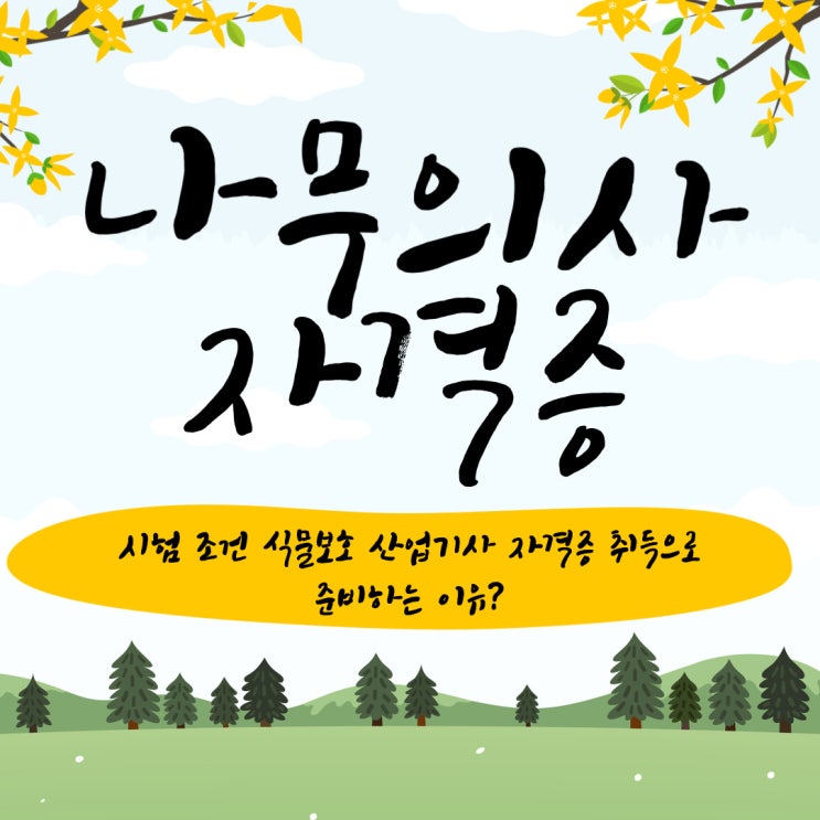 나무의사 자격증 시험 응시자격 : 식물보호산업기사 자격증 취득으로 준비하는 이유 나무의사 자격증 시험 응시자격 : 식물보호산업기사 자격증 취득으로 준비하는 이유
