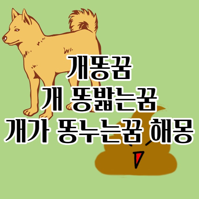 개똥꿈 개 똥밟는꿈 개가 똥누는꿈 해몽