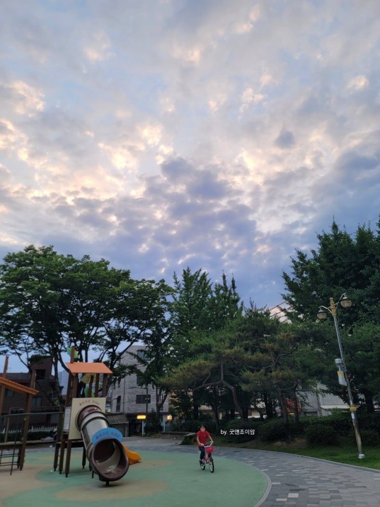 성동공원, 성세아이들병원, 이사준비, 옥천 자연휴양림, 바이올린 콩쿨.._2주치 주간일기 혹은 생존기록 성동공원, 성세아이들병원, 이사준비, 옥천 자연휴양림, 바이올린 콩쿨.._2주치 주간일기 혹은 생존기록
