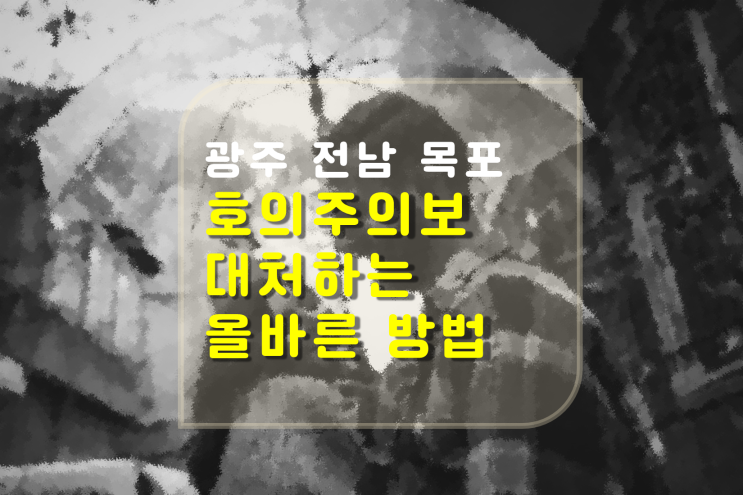 <b>광주</b>·<b>전남</b>·목포 <b>호우주의보</b>, 대처하는 올바른 방법을 알려드려요