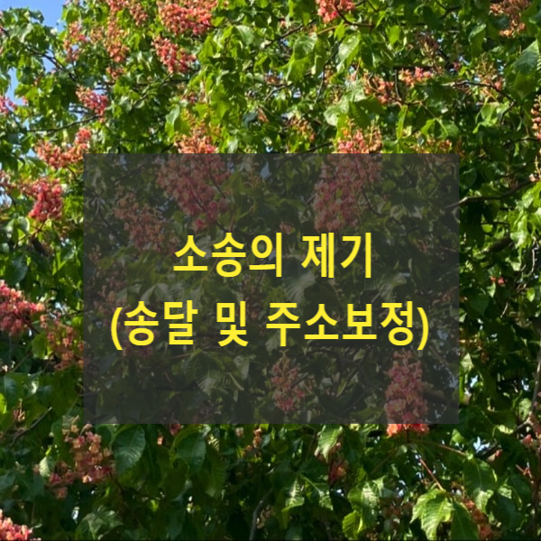  소송의 제기(송달 및 주소보정)