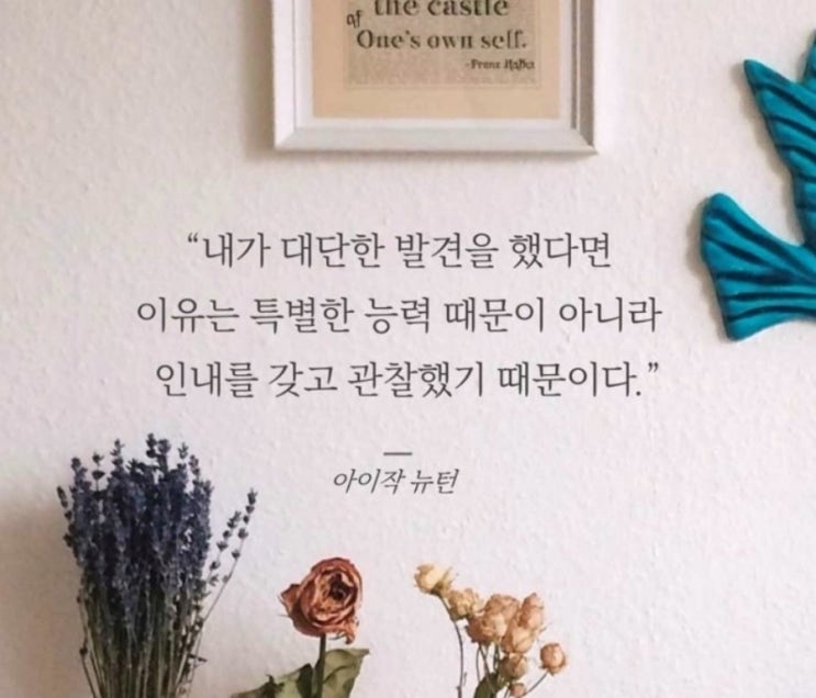  부거사이 [부동산 뉴스와 블로그] 6월 26일(월)