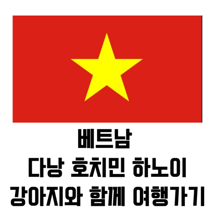  베트남 다낭 호치민 하노이 강아지와 함께 여행가기