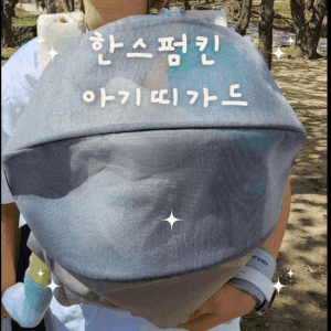 한스펌킨 아기띠가드 내돈내산 후기