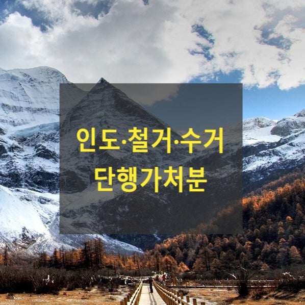  인도(명도)·철거·수거 단행가처분