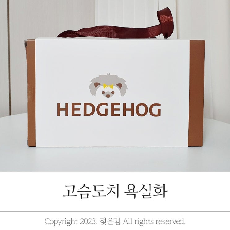 특허받은 엘레갈로 고슴도치 욕실화 특허받은 엘레갈로 고슴도치 욕실화