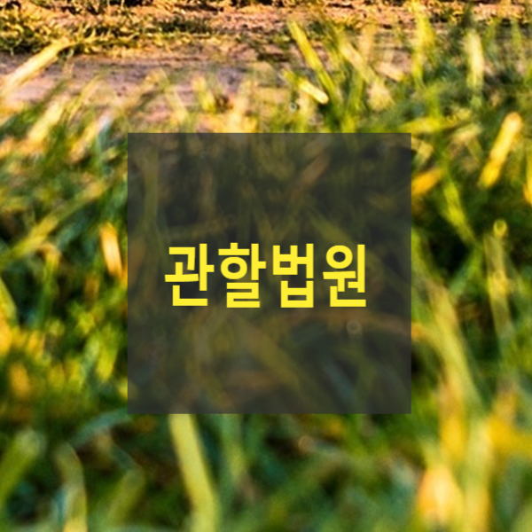  관할법원(보통재판적, 특별재판적, 합의관할, 가사소송, 가사비송, 가족관계등록비송, 행정소송, 회생파산, 민사집행)