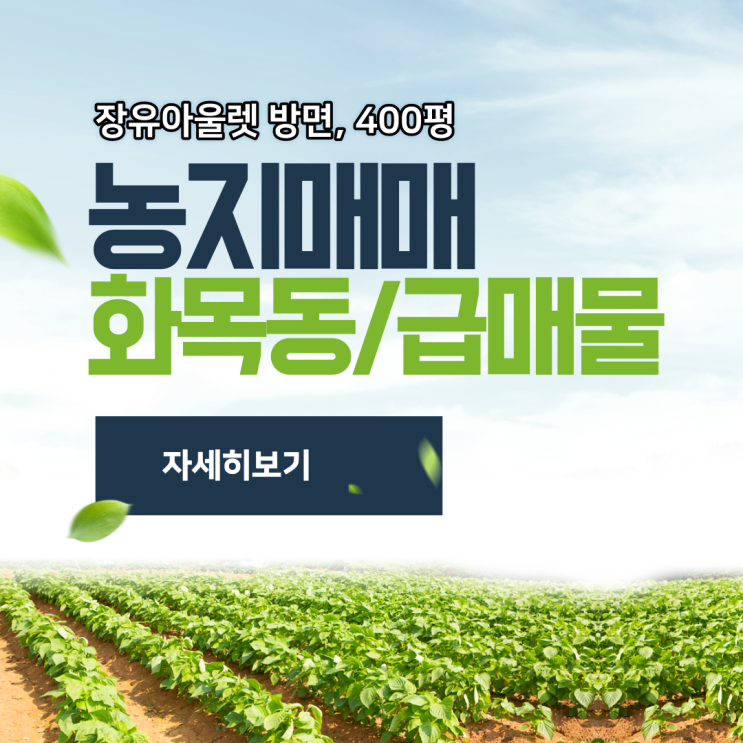  김해토지 농지(답)매매 화목동 인근 최저가 급매물 선호도 높은 면적 대토,직접 경작 강력추천 매물