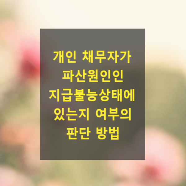  개인 채무자가 파산원인인 지급불능상태에 있는지 여부의 판단 방법(2009마2183)