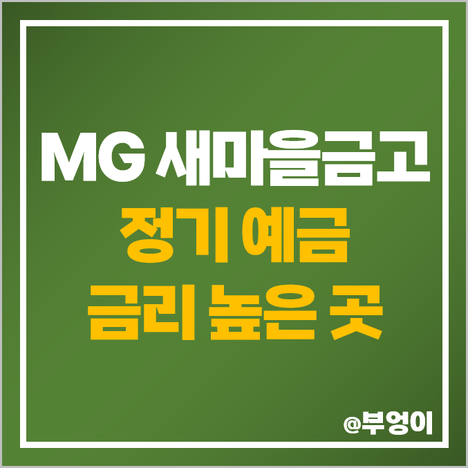 MG 새마을금고 정기 예금 금리 비교 : 특판 이자 높은 지점