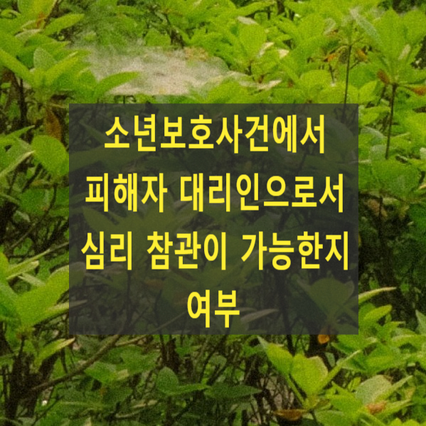  소년보호사건에서 피해자 대리인(변호사)으로서 심리 참관이 가능한지 여부