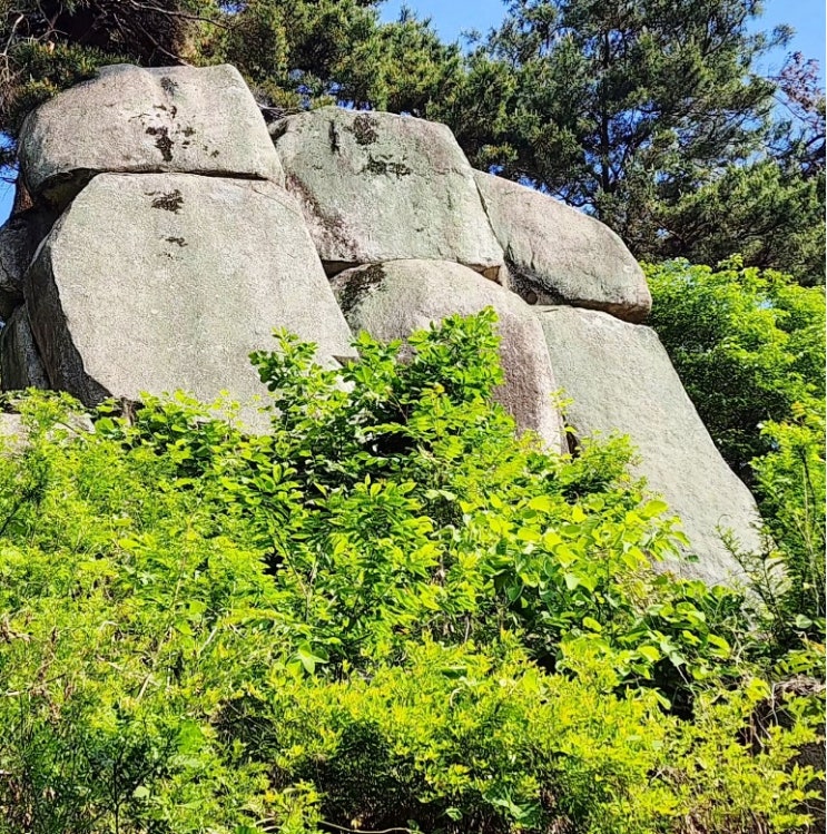 이천 설봉산 다녀왔어요! 설봉산 주차, 등산로와 볼거리, 정상 전망 등 산행 이모저모