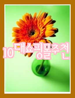  10대만을 위한 추천 쇼핑몰 - 에이블리