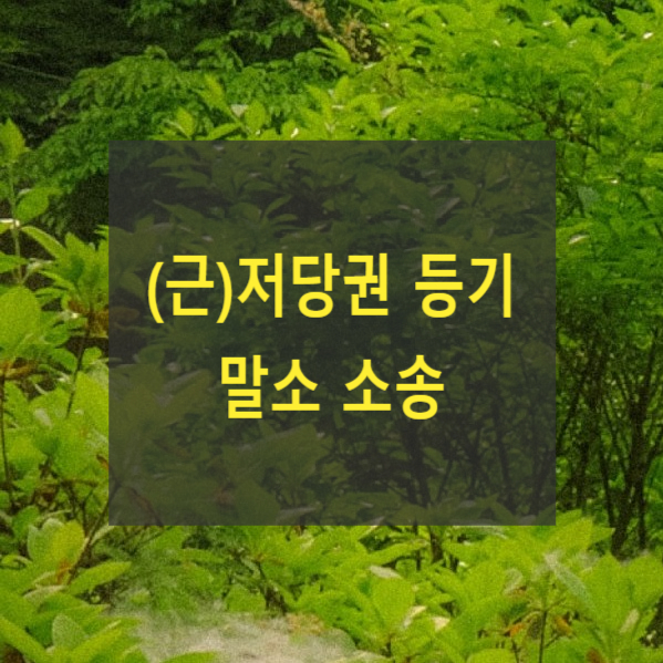  (근)저당권 등기 말소 소송(소송당사자,근저당권이전, 소유권이전, 부기등기, 2000다5640)