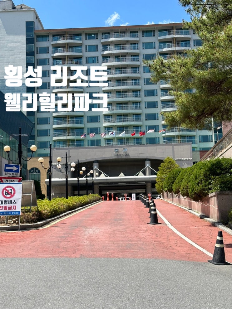  횡성 웰리힐리파크 리조트 시설 및 즐길거리 총정리(루지포함)