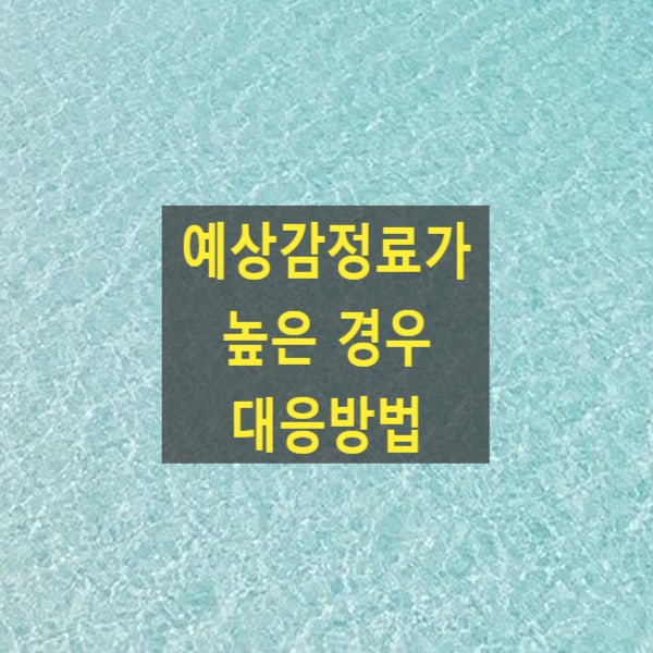  예상감정료가 높은 경우 대응방법(명도소송, 원상회복)