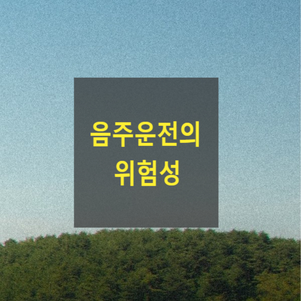  음주운전의 위험성(처벌의 종류)(도로교통법,교통사고처리특례법,특정범죄가중처벌등에관한법률,위험운전치사상,면허취소,정지,면책금,위자료 등)