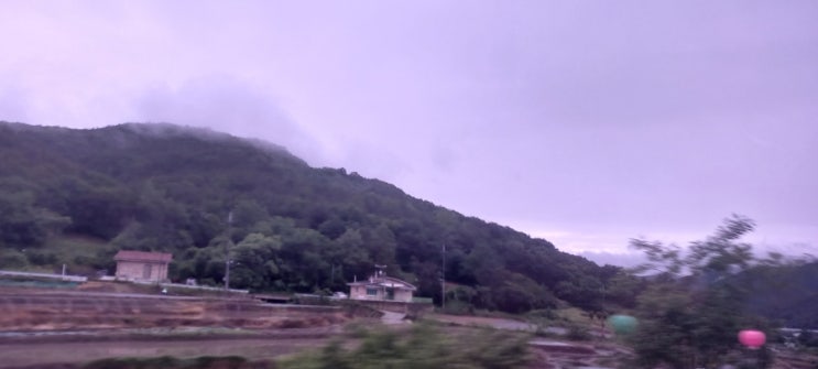  [대구대 학생 일상 블로그] 대학 등교 및 수업 브이로그_원예학과 [63일차] (feat. 본가 & 식물생장조절론 & 농업기상학 & 비대면 수업)