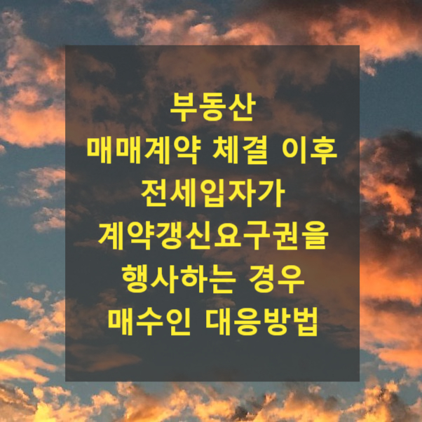  부동산 매매계약 체결 이후 전세입자가 계약갱신요구권(계약갱신청구권)을 행사하는 경우 매수인 대응방법(취소, 해제,)