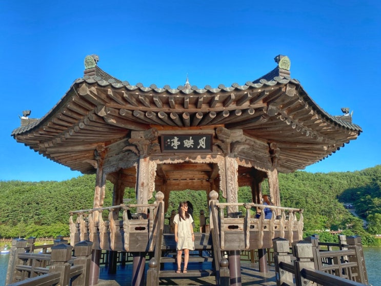  안동 여행 코스 지도 가볼만한곳 6 (낙강물길공원 부용대 월영교 등)