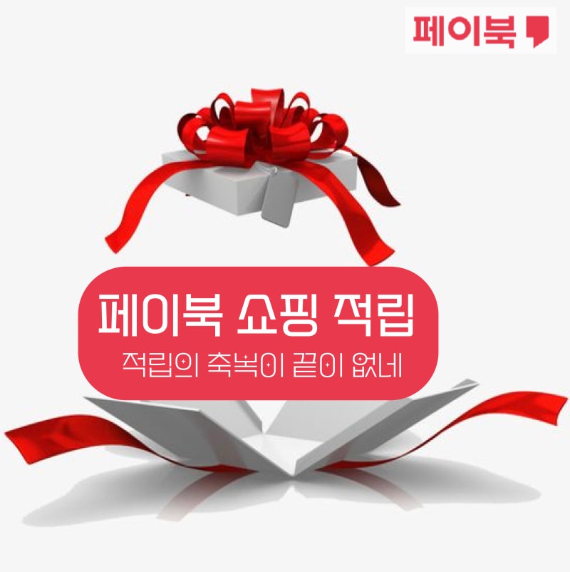 페이북 쇼핑적립으로 슬기로운 소비생활