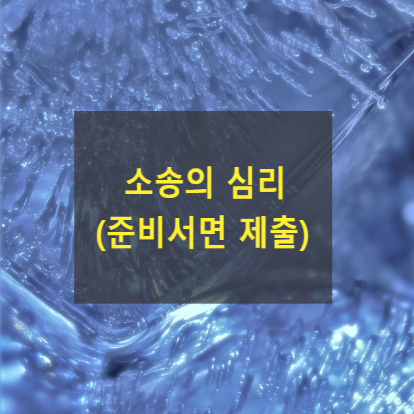  소송의 심리(준비서면 제출)