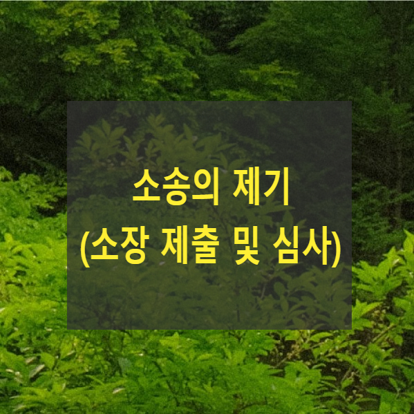  소송의 제기(소장 제출 및 심사, 2004무54)