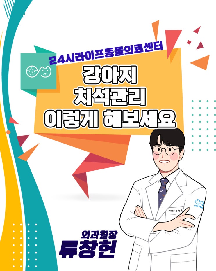 대구 강아지 스케일링 : 강아지 치석관리 이렇게 해보세요 치석 생성 원리부터 관리방법까지