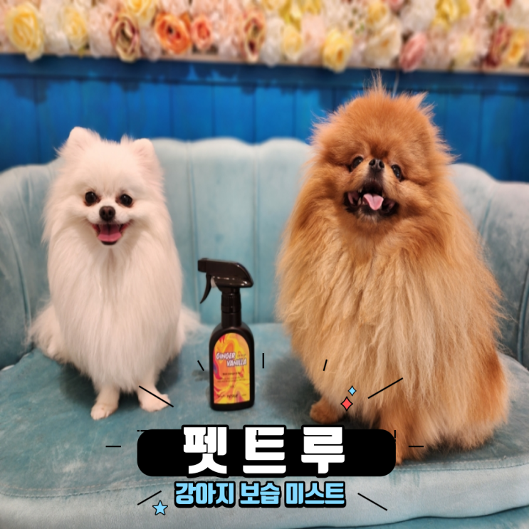 강아지 필수용품 살균 탈취 한번에 가능한 강아지 보습 미스트 펫트루